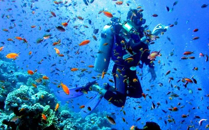 Scuba Diving in Havelock